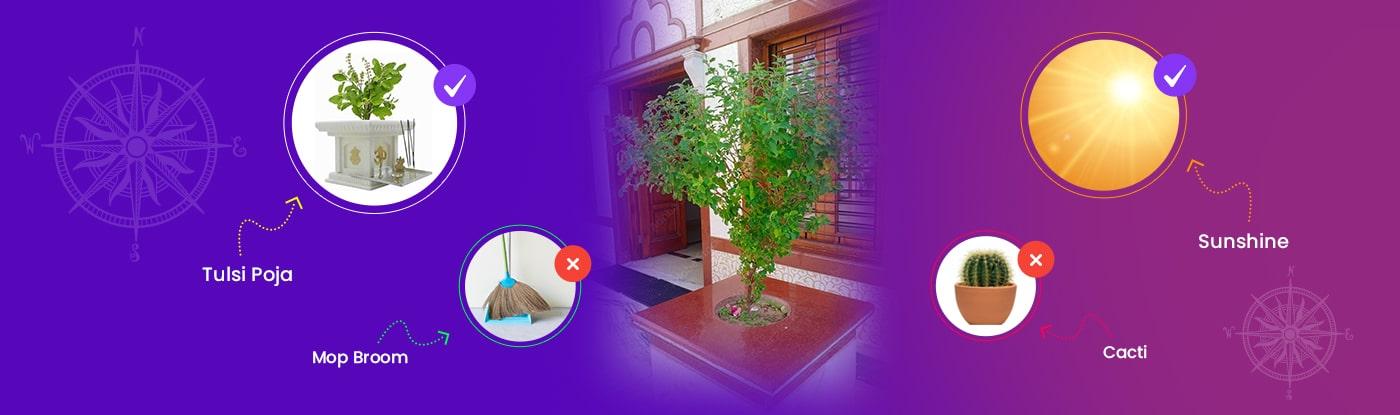 Tulsi Plant in Home Vastu Direction Placement Location and